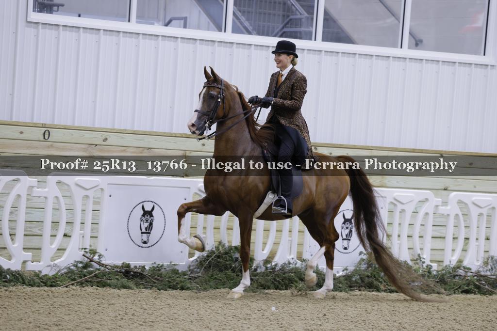 Proof 25R13_13766