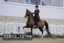 25R13_13766 proof