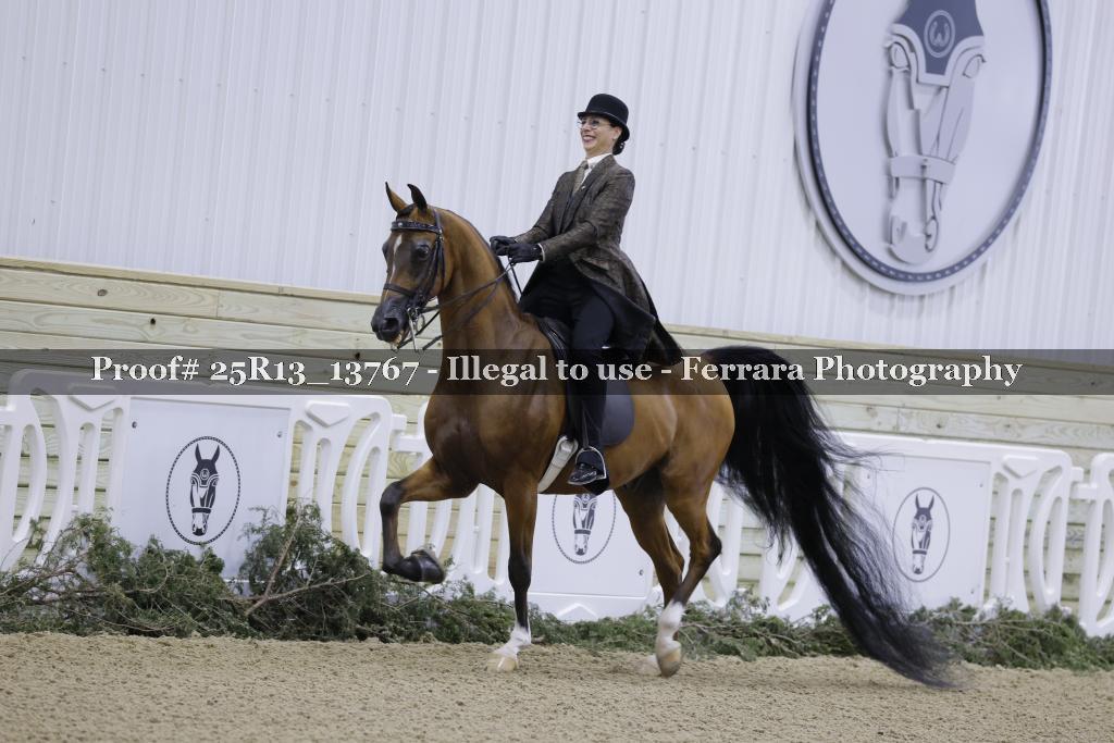Proof 25R13_13767