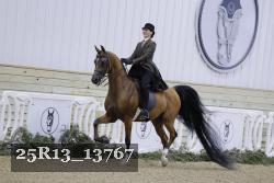 25R13_13767 proof