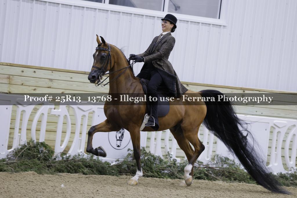 Proof 25R13_13768