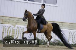 25R13_13768 proof