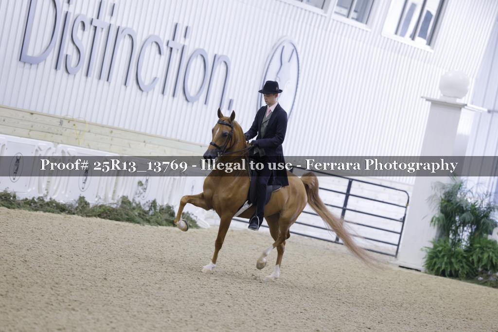 Proof 25R13_13769