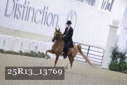 25R13_13769 proof