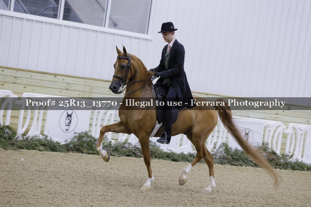 Proof 25R13_13770