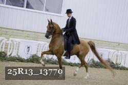 25R13_13770 proof