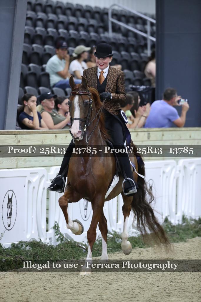 Proof 25R13_13785