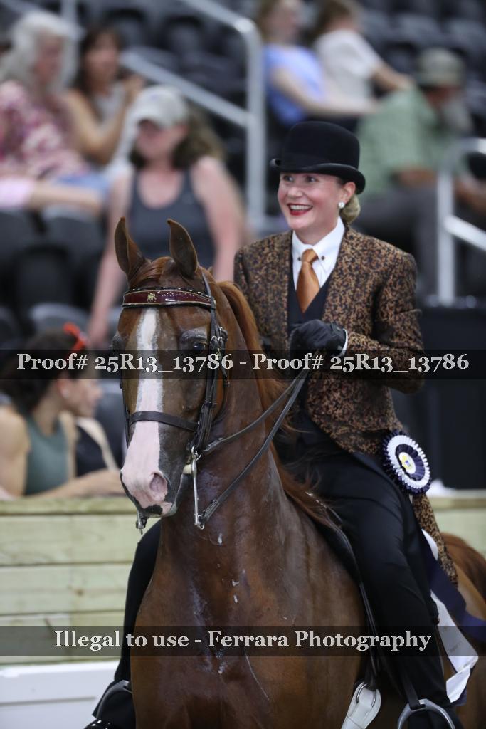 Proof 25R13_13786