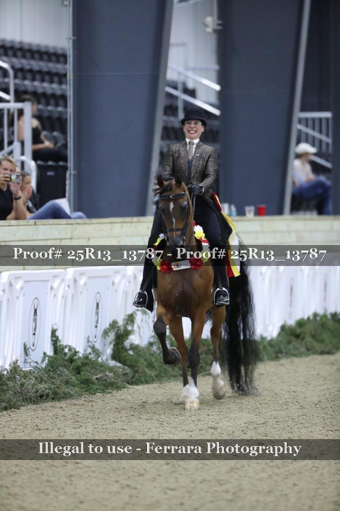 Proof 25R13_13787