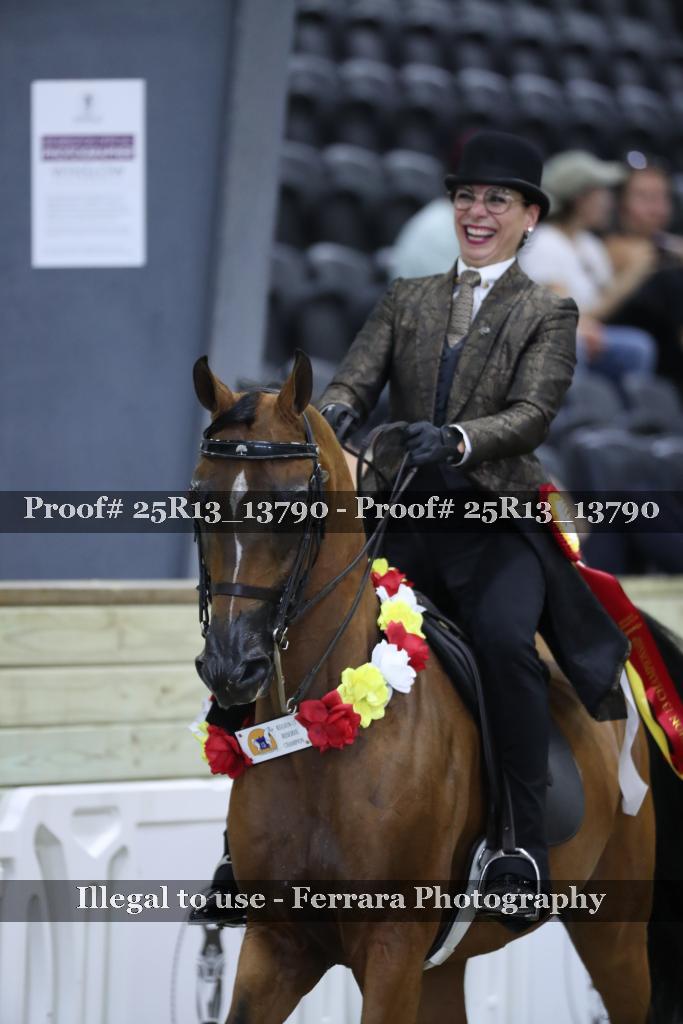 Proof 25R13_13790