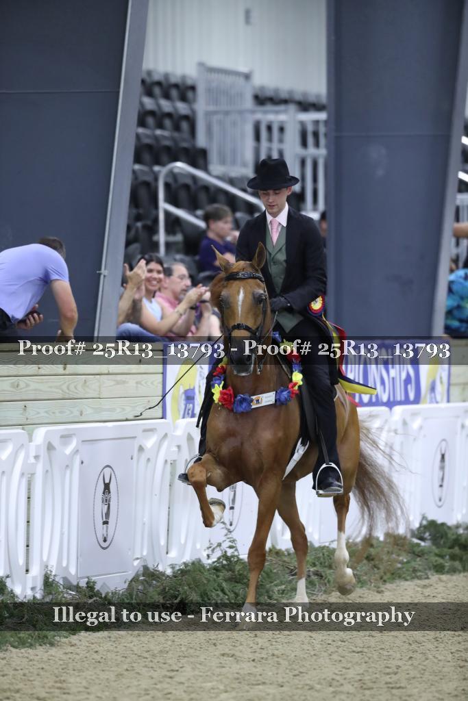Proof 25R13_13793