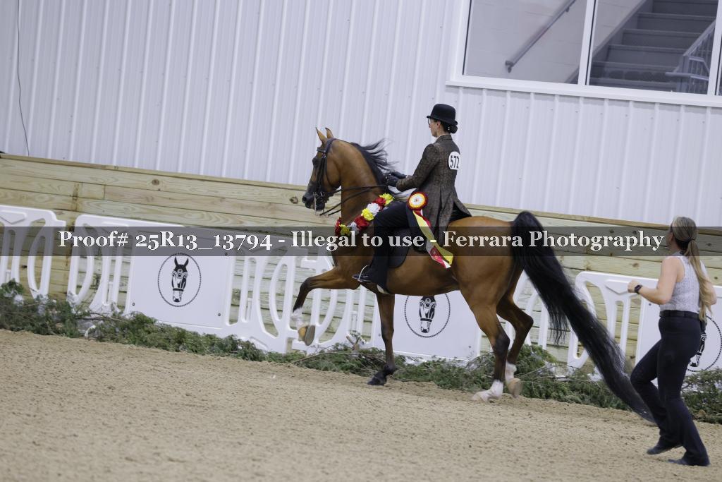 Proof 25R13_13794