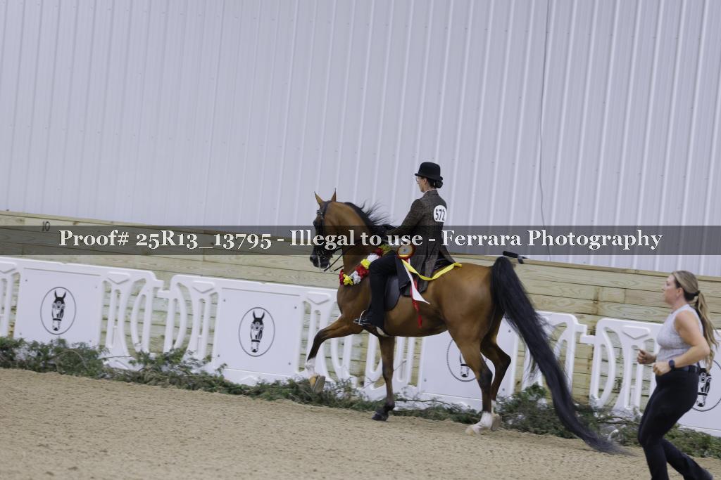 Proof 25R13_13795