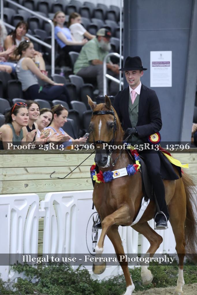Proof 25R13_13796