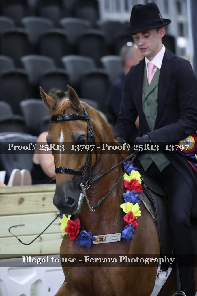 Proof 25R13_13797