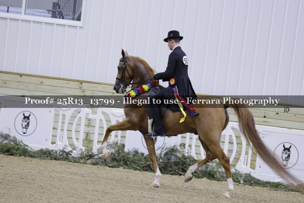 Proof 25R13_13799