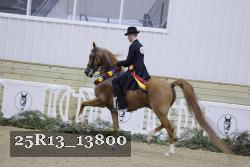 25R13_13800 proof