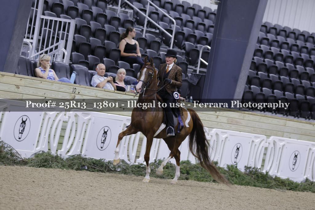 Proof 25R13_13801