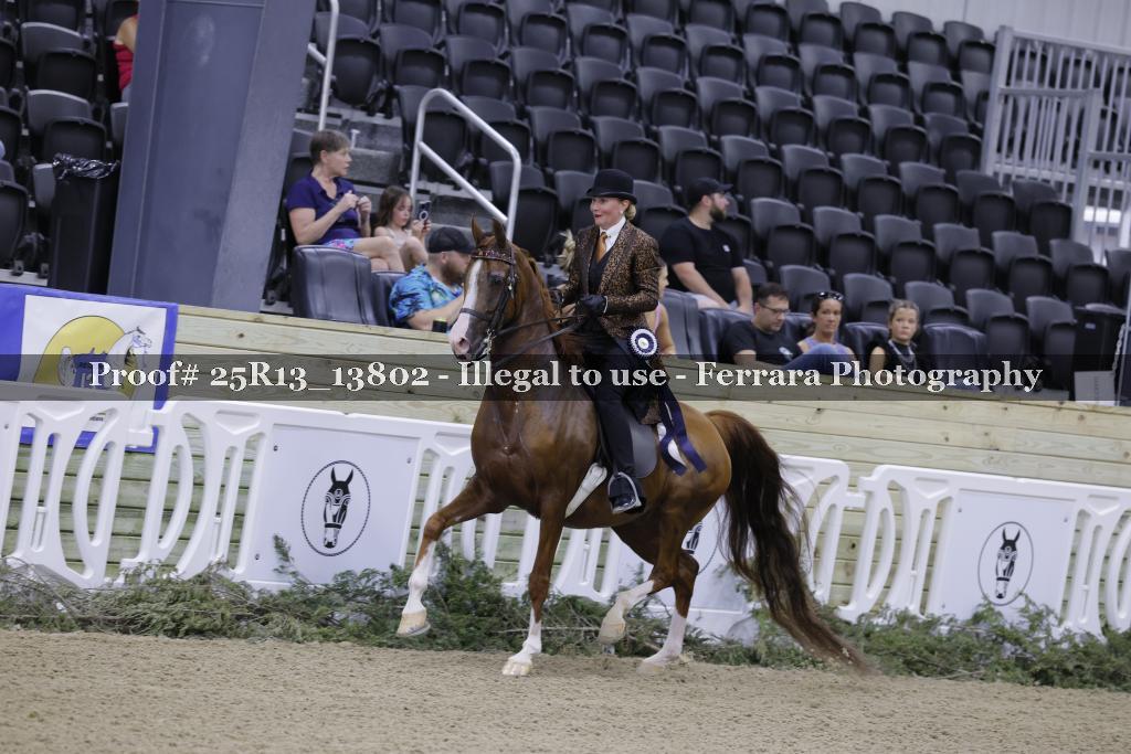 Proof 25R13_13802