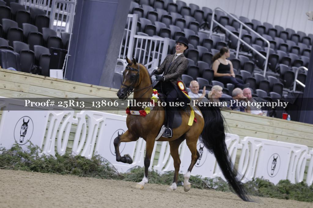 Proof 25R13_13806