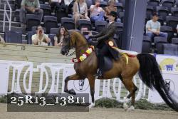 25R13_13811 proof