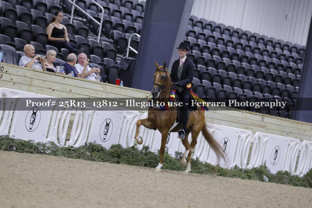 Proof 25R13_13812