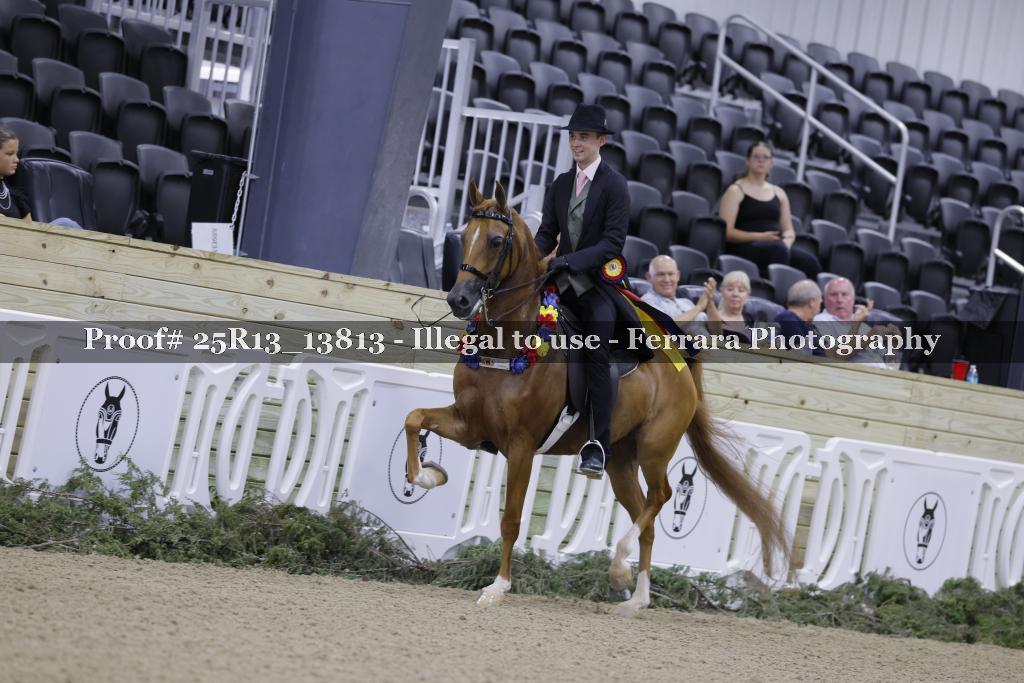 Proof 25R13_13813