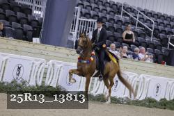 25R13_13813 proof