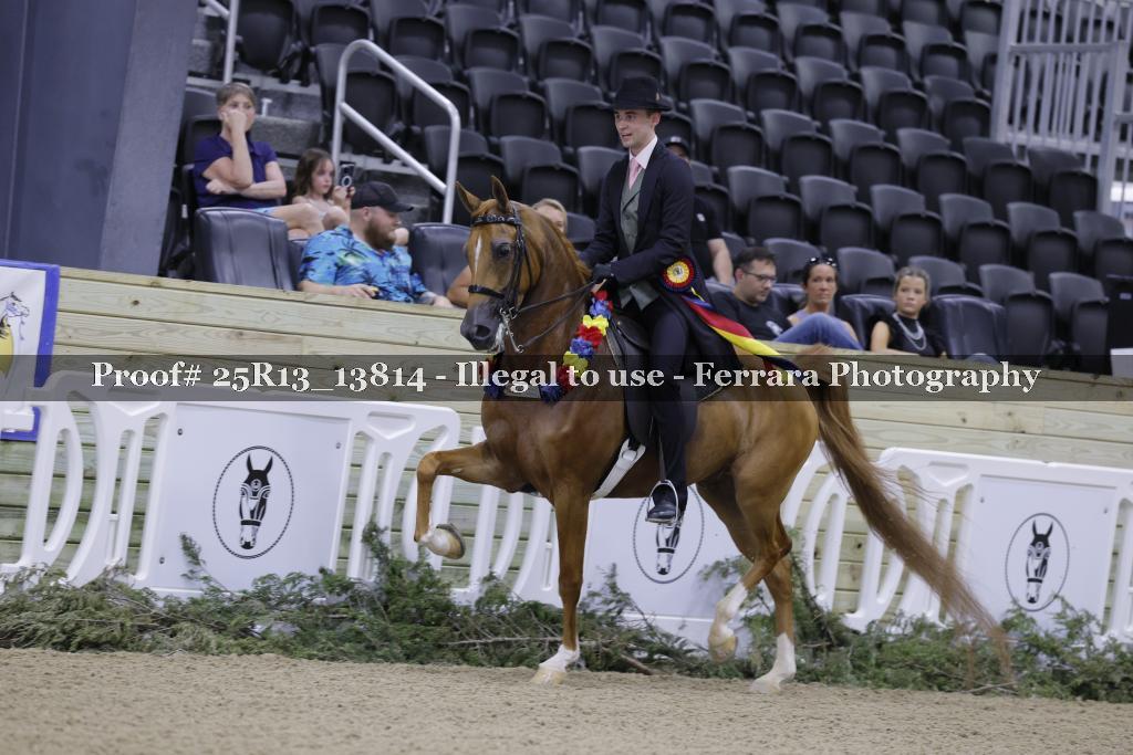 Proof 25R13_13814