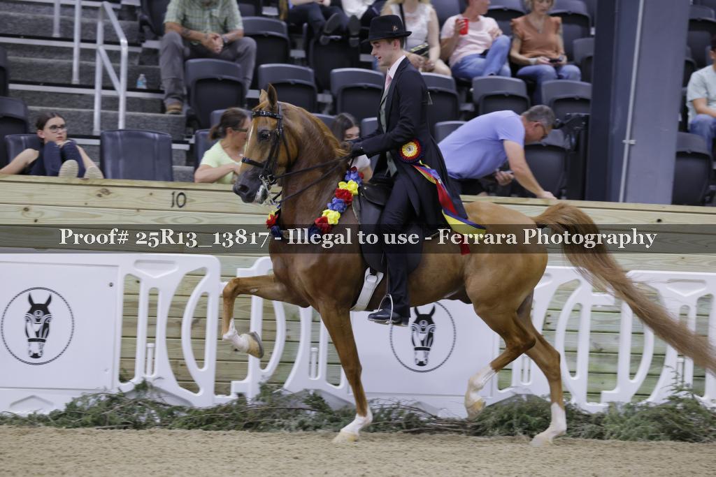 Proof 25R13_13817