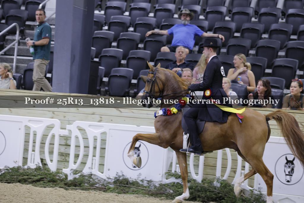 Proof 25R13_13818