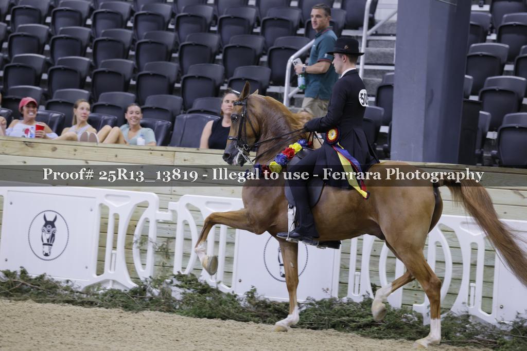 Proof 25R13_13819