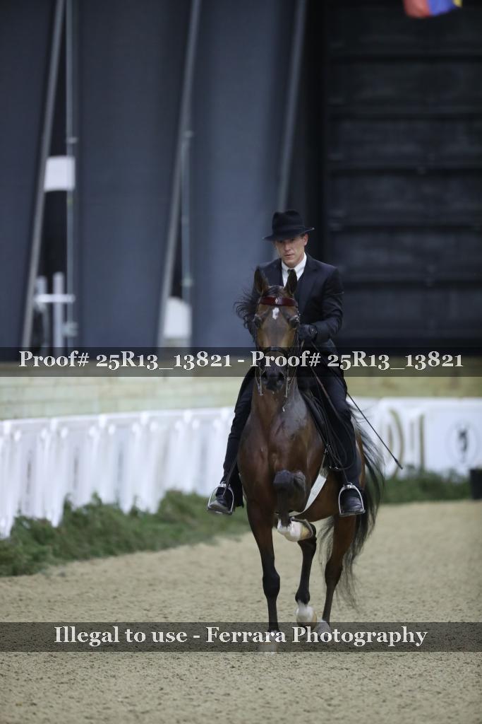 Proof 25R13_13821