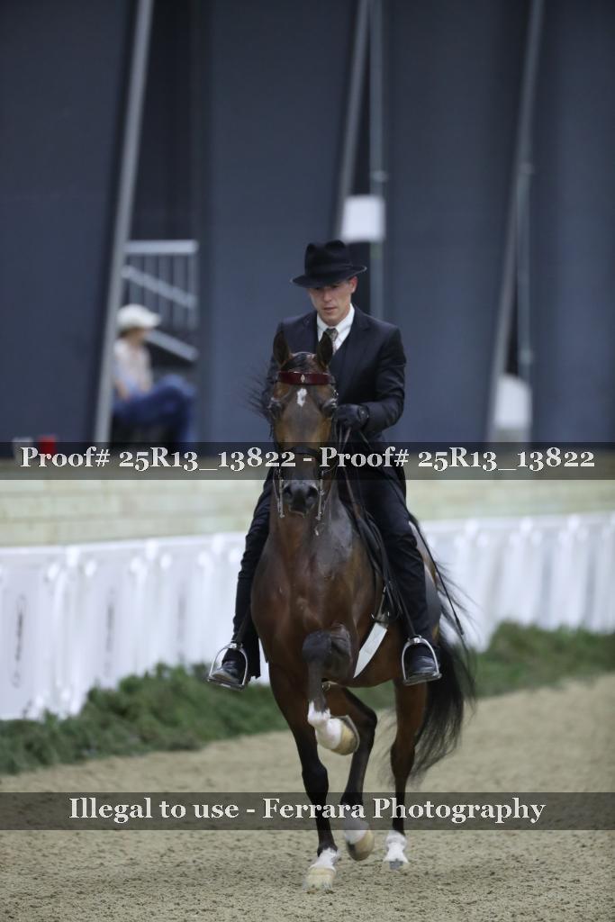 Proof 25R13_13822