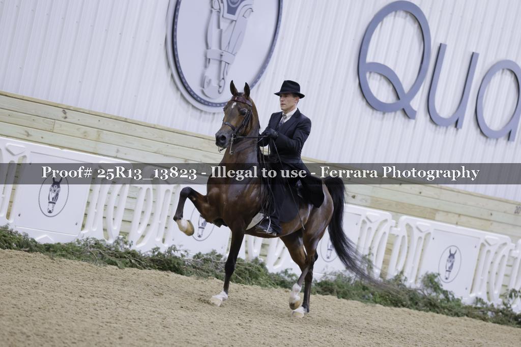 Proof 25R13_13823