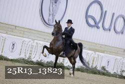 25R13_13823 proof