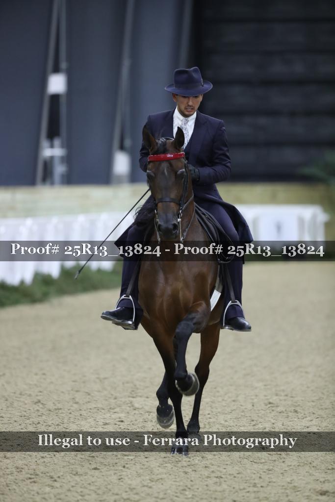 Proof 25R13_13824