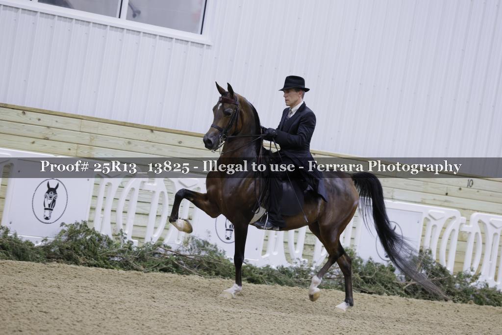 Proof 25R13_13825