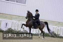 25R13_13825 proof