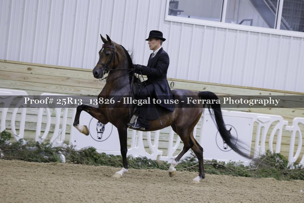 Proof 25R13_13826