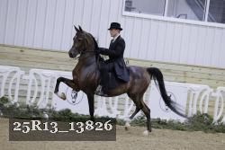 25R13_13826 proof
