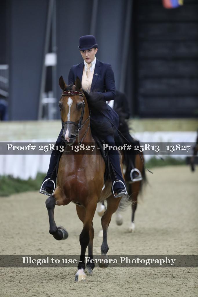 Proof 25R13_13827