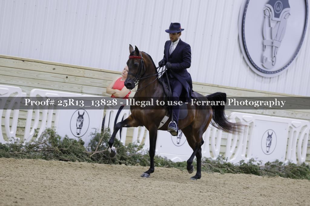 Proof 25R13_13828