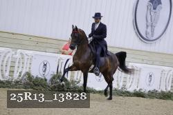 25R13_13828 proof