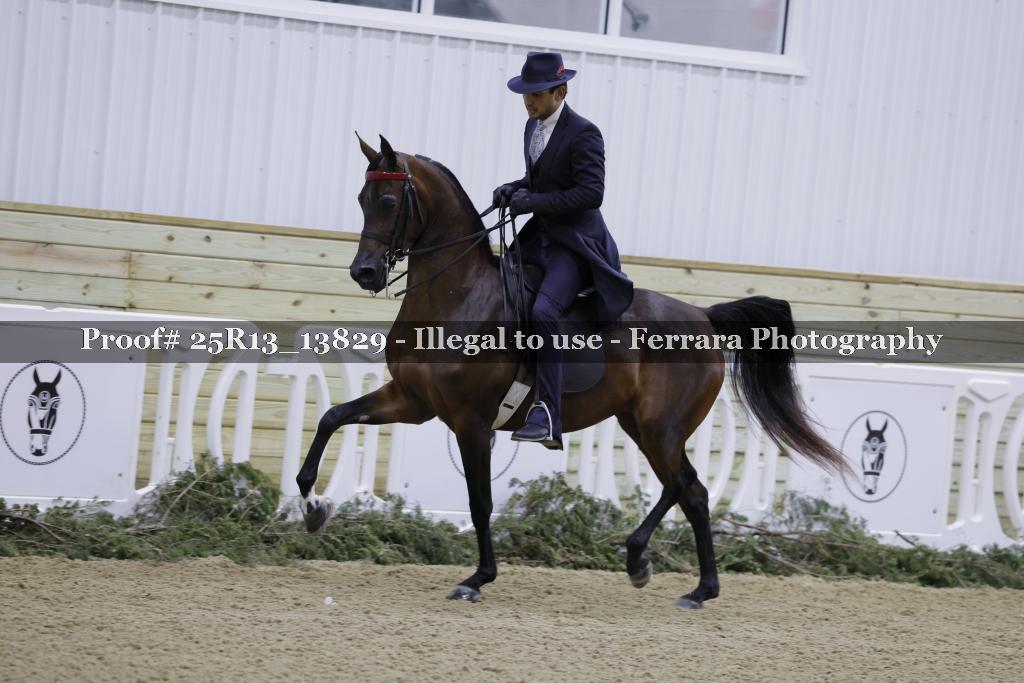 Proof 25R13_13829