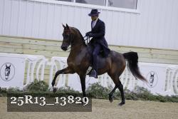 25R13_13829 proof
