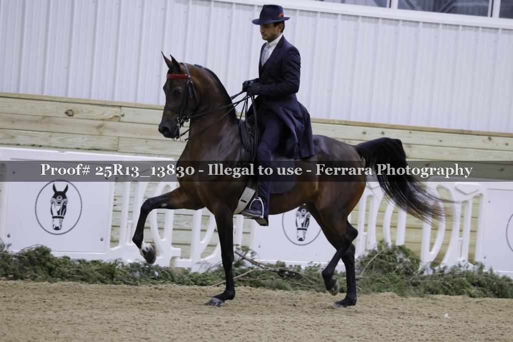 Proof 25R13_13830