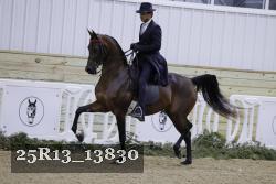 25R13_13830 proof