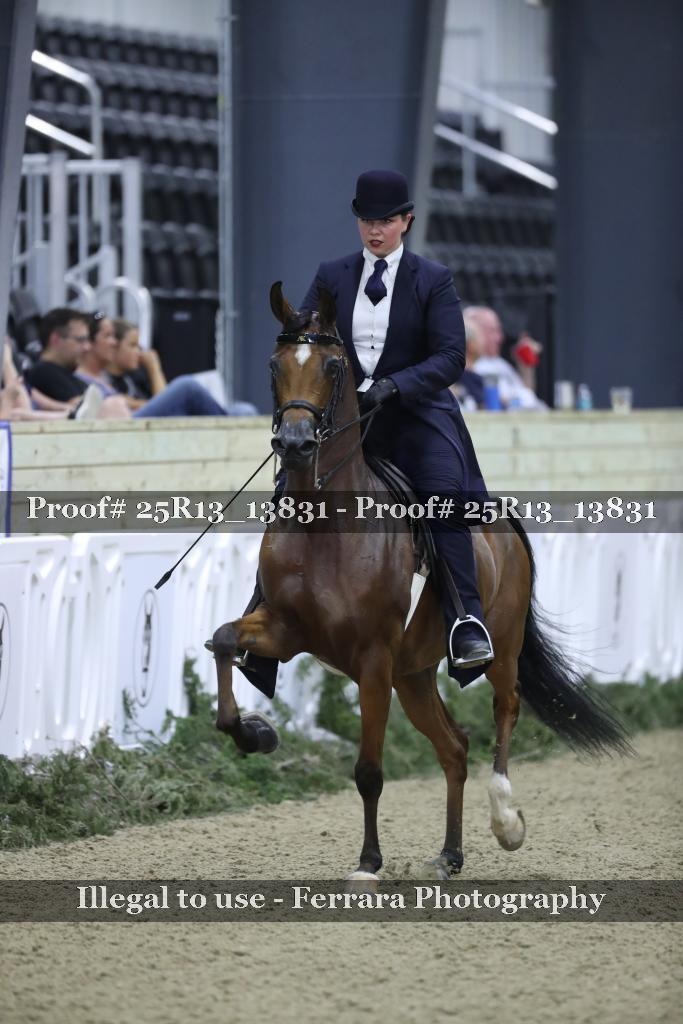 Proof 25R13_13831