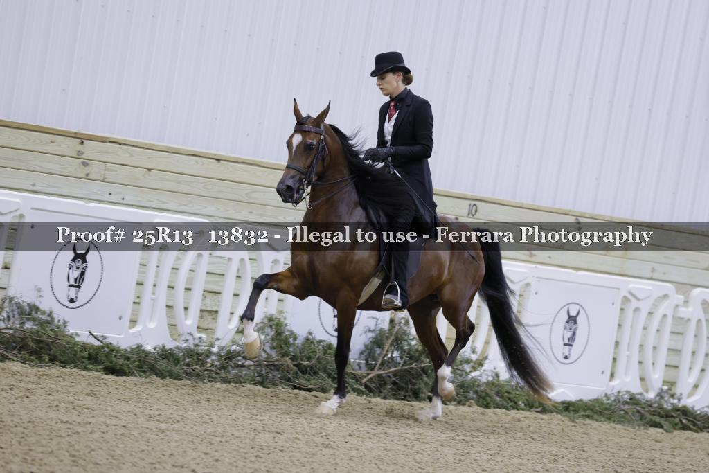 Proof 25R13_13832
